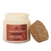 Bougie Parfumée Bois Épicé ou Figuier, Terracotta / Beige | L’Apothicaire