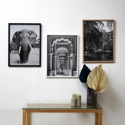 Cadre et Photo Noir & Blanc Éléphant Oriental Tropical 60 x 45 cm 