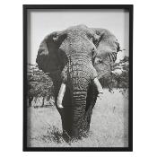 Cadre et Photo Noir & Blanc Éléphant Oriental Tropical 60 x 45 cm 